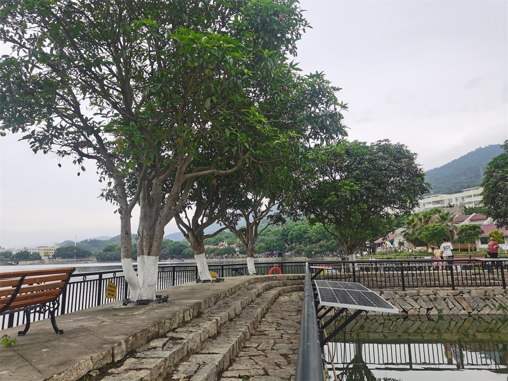 2021景區多色微光能景觀燈路燈